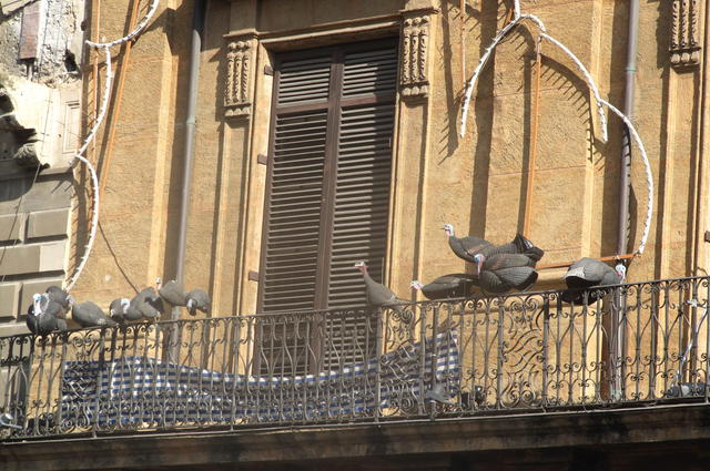 Musée d'art moderne Musée d'art moderne